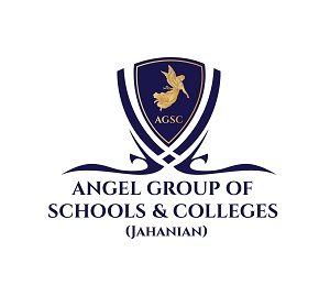 Angel group of colleges
